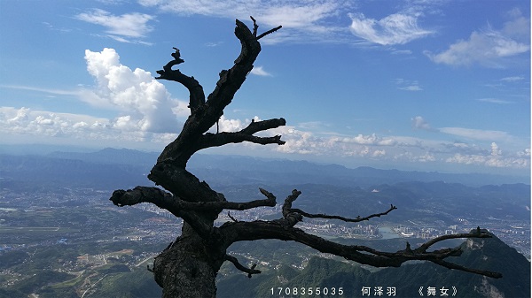 2018-09-28_184525_402499.jpg 2017级学生何泽羽毛 优秀作品《舞女》.jpg